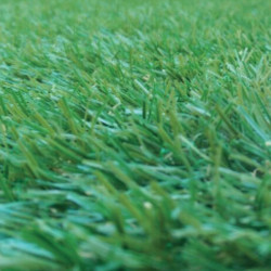 Artificial Grass