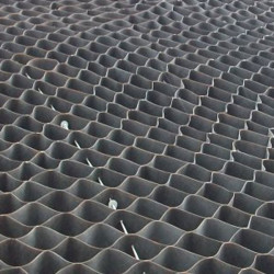 Geogrid