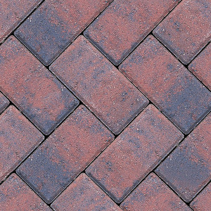 DRIVEWAY BRINDLE PAVING