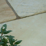 Mint Fossil Natural Sandstone