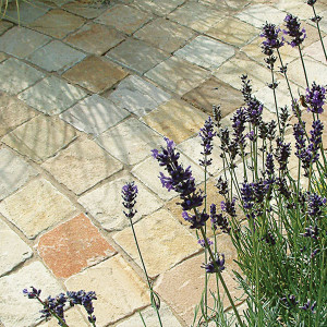Mint Fossil Natural Cobble Stones