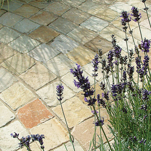 Mint Fossil Natural Cobble Stones