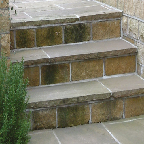 Raj Green Natural Sandstone