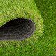 Augusta Artificial Grass